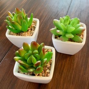 Faux Potted Succulents Cactus Small